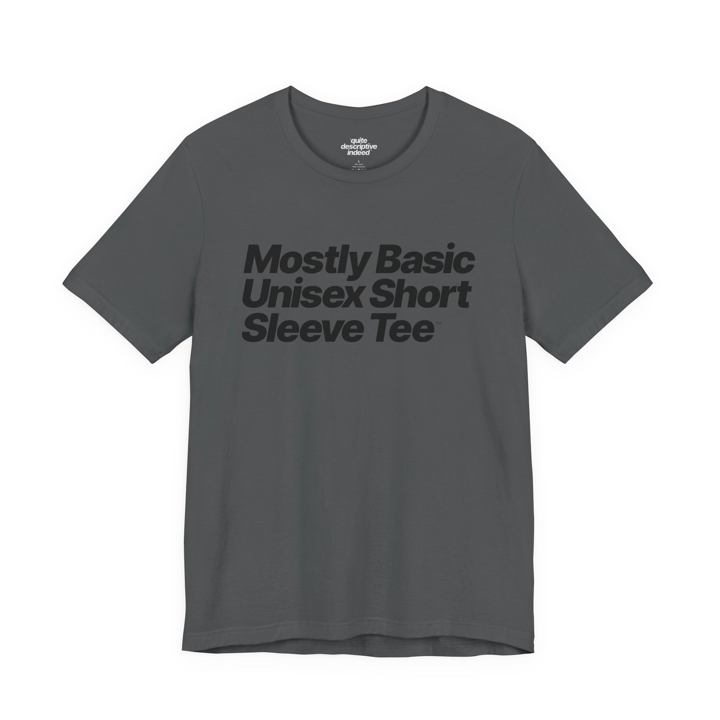 Quite Descriptive, Mostly Basic Unisex Short Sleeve Tee. Bold Italic Text Graphic Shirt.