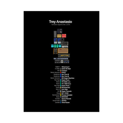 Trey Anastasio Pedalboard Signal Chain - Premium Matte Vertical Wall Art Poster