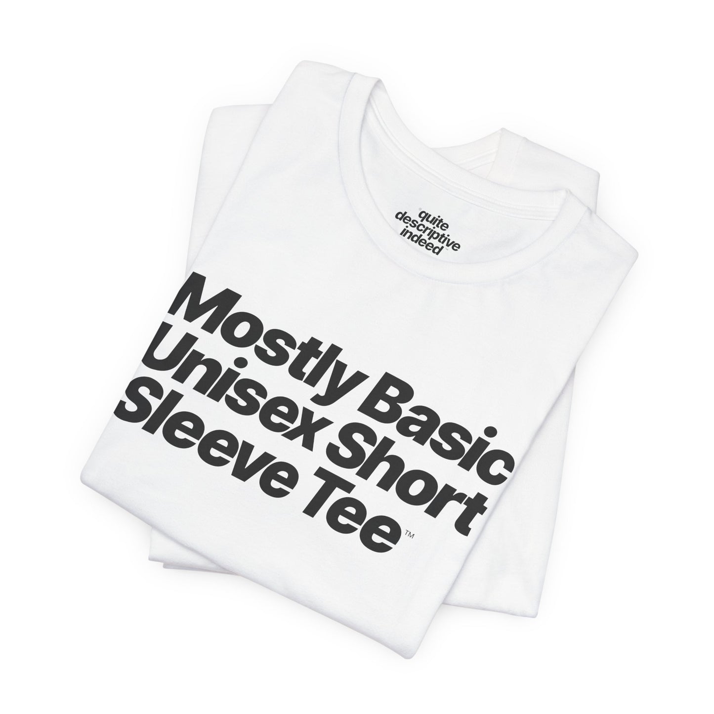 Quite Descriptive, Mostly Basic Unisex Short Sleeve Tee. Bold Italic Text Graphic Shirt.