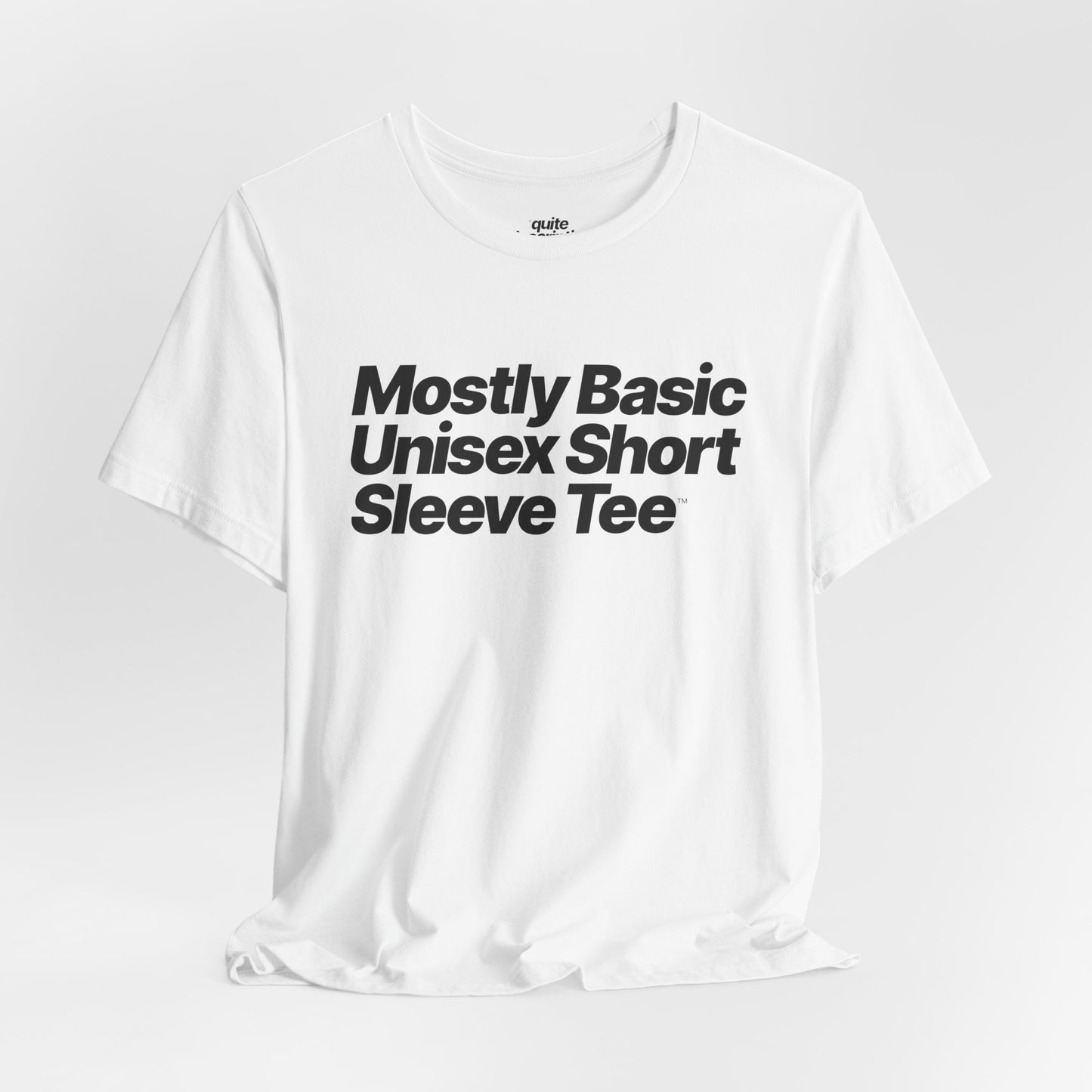 Quite Descriptive, Mostly Basic Unisex Short Sleeve Tee. Bold Italic Text Graphic Shirt.
