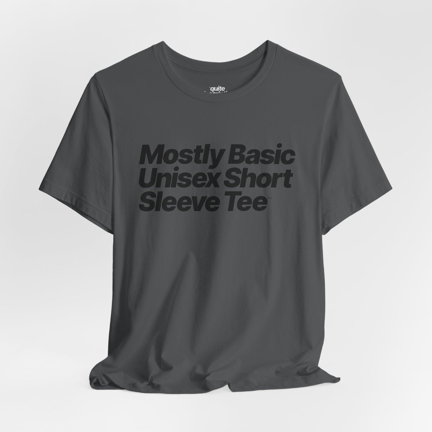 Quite Descriptive, Mostly Basic Unisex Short Sleeve Tee. Bold Italic Text Graphic Shirt.