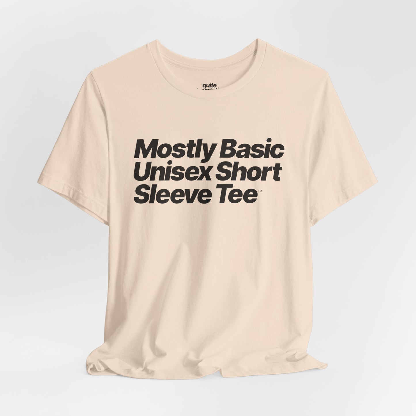 Quite Descriptive, Mostly Basic Unisex Short Sleeve Tee. Bold Italic Text Graphic Shirt.