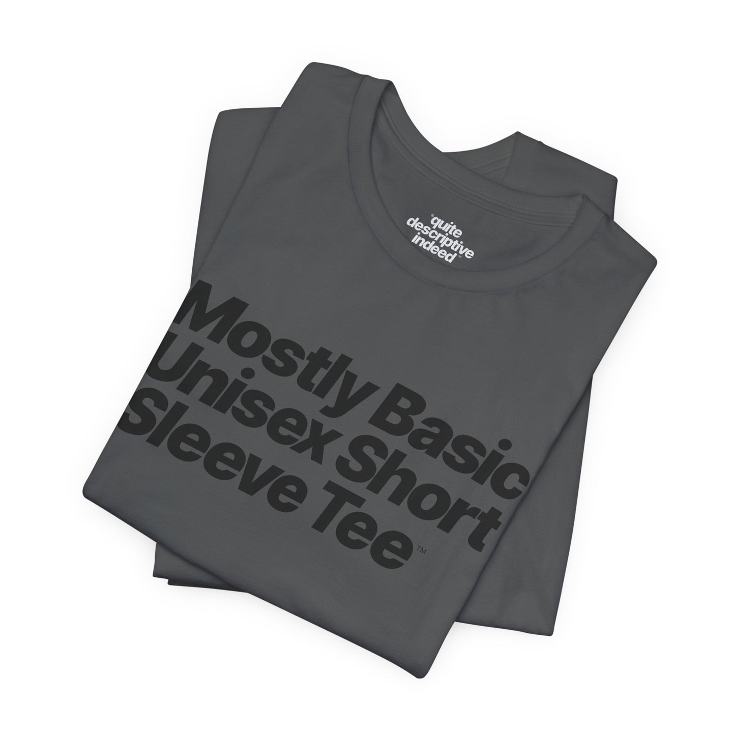 Quite Descriptive, Mostly Basic Unisex Short Sleeve Tee. Bold Italic Text Graphic Shirt.