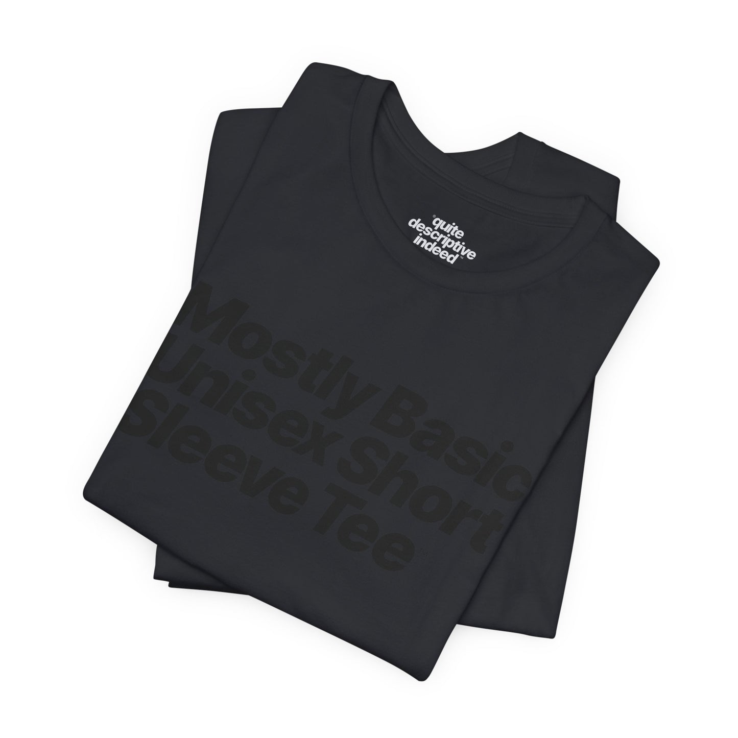 Quite Descriptive, Mostly Basic Unisex Short Sleeve Tee. Bold Italic Text Graphic Shirt.